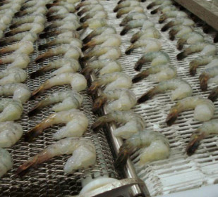 316 Stainless Steel Seimbang Weave Net Conveyor Belt Wire Mesh