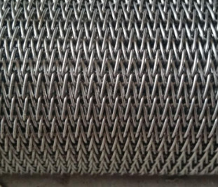 SS 304 Plain Weave Wire Mesh Flat Wire Mesh Belt Untuk Mesin Memanggang Kacang Kering
