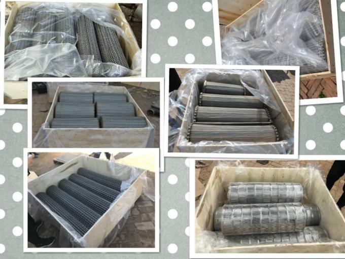 SUS316L Stainless Steel Conveyable Conveyor Belt Fabrikasi Kawat Mesh 6